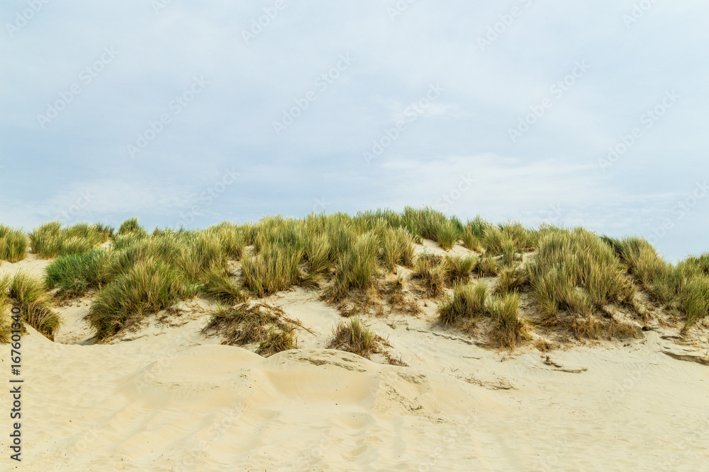 Dünenlandschaft auf Insel Borkum. Nordsee Ostfriesland. Dünenlandschaft auf Insel Borkum. Nordsee Ostfriesland.