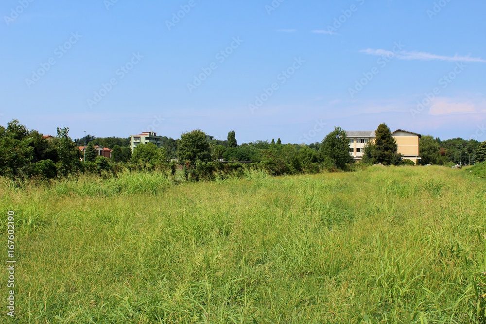 Obraz premium Green field and trees with houses into the distance