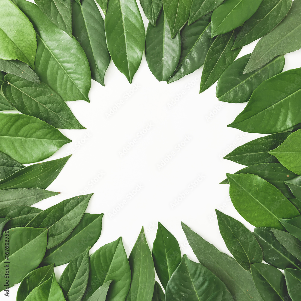 Round floral frame of green leaves. Creative layout made of leaf on white background. Flat lay. Top view
