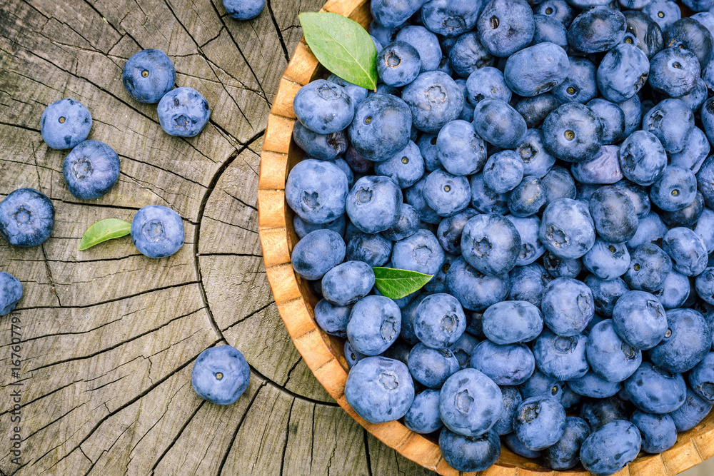 Freshly picked blueberries in wooden bowl on a stump at the garden. Juicy and fresh blueberries with green leaves on rustic wooden surface. Concept for healthy eating and nutrition. Freshly picked blueberries in wooden bowl on a stump at the garden. Juicy and fresh blueberries with green leaves on rustic wooden surface. Concept for healthy eating and nutrition.
