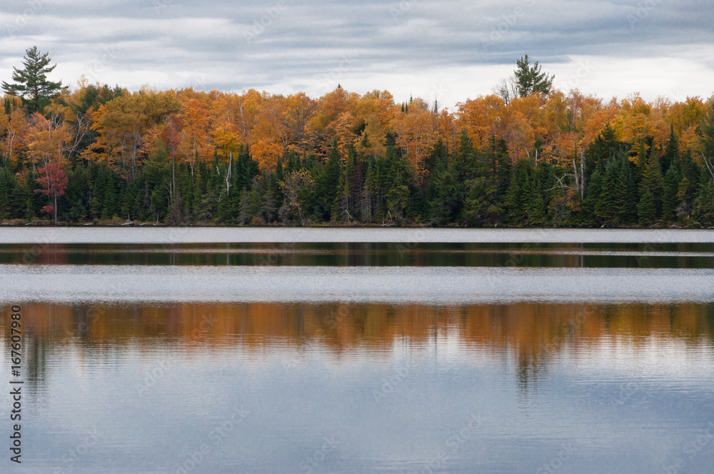 Fototapeta premium Autumn in Ontario