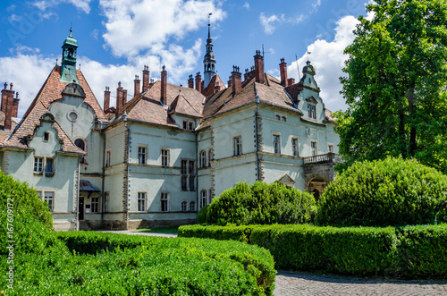 Background of Shenborn Castle in the Ukrainian carpathians photo