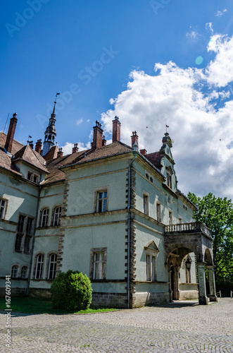 Background of Shenborn Castle in the Ukrainian carpathians photo