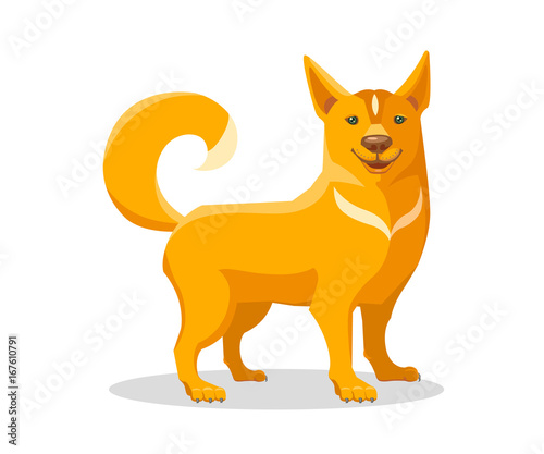 Drawing of a cheerful, friendly good emotional red dog. A color vector is isolated on background.