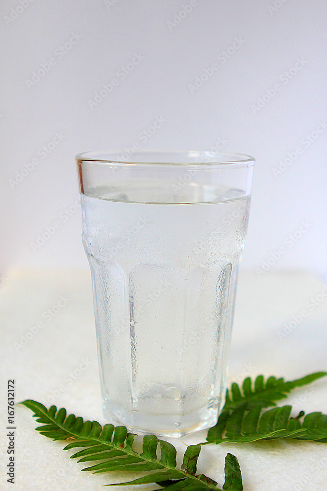 Glass with water on white background decoration of green leaves Glass with water on white background decoration of green leaves