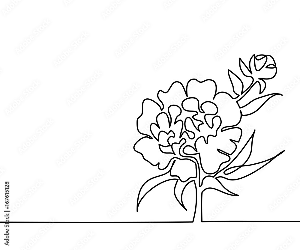 Beautiful flowers peony. Continuous line drawing. Vector illustration