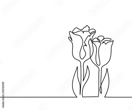 Fototapeta Beautiful flowers tulips. Continuous line drawing. Vector illustration