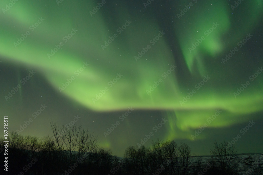 The Aurora in the sky above the hills at night . The Aurora in the sky above the hills at night .