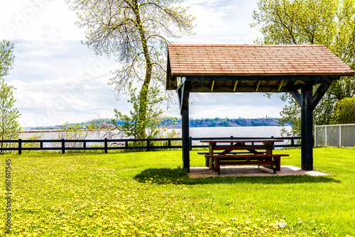 Empty covered picnic table in Quebec, Canada during summer with yellow dandelions flowers and grass