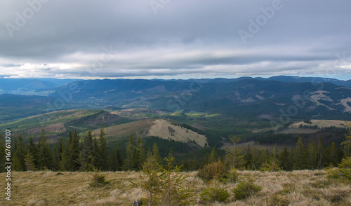 Spring landscape in the Carpathian mountains