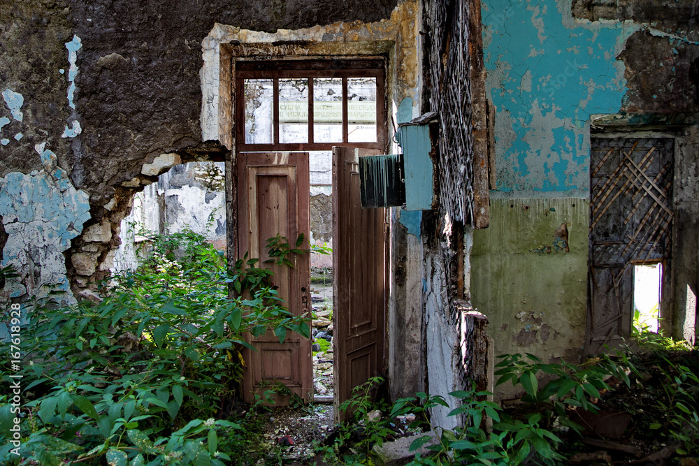 Rotten door in the ruined room of an abandoned building, overgrown with vegetation
