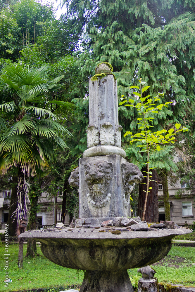 Obraz premium Old abandoned ruined fountain in overgrown park