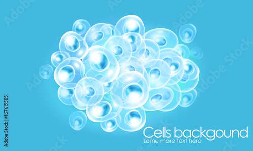 Cells - Biology