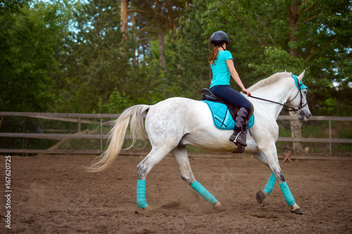 Girl rider trains the horse in the riding course in summer day © sheikoevgeniya