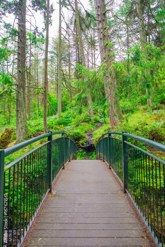 Waterfall Trail at Glenariff Forest Park  Co. Antrim. Hiking in Northern Ireland. Causeway Coastal Route.