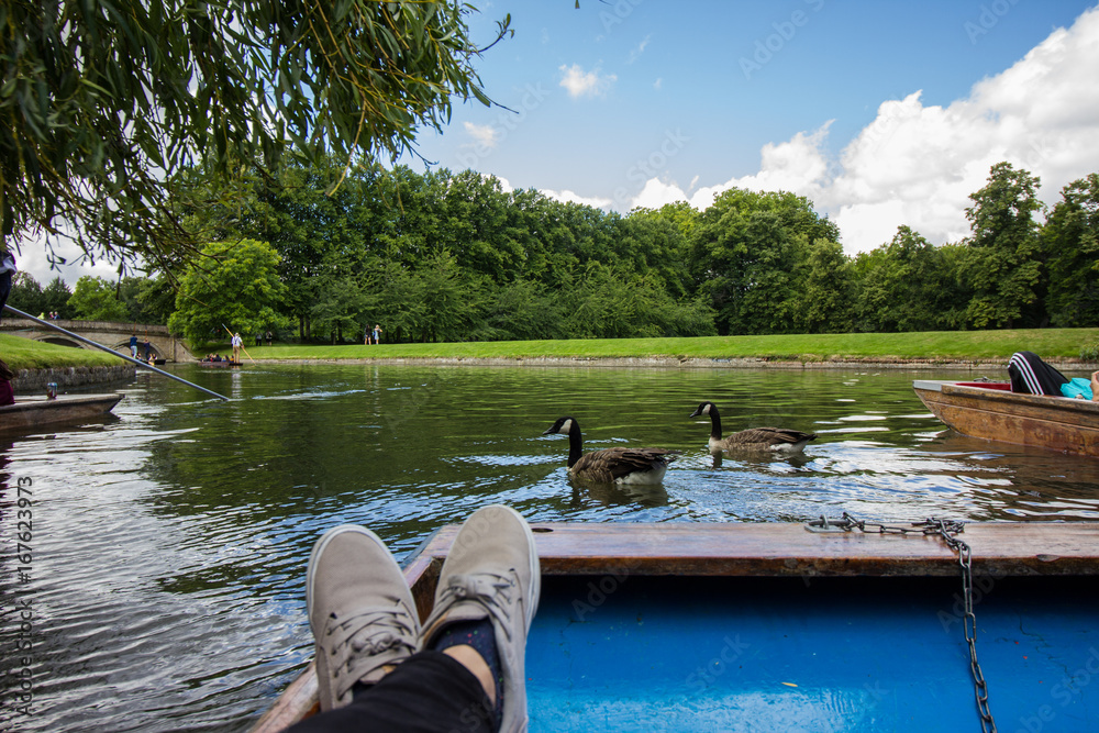 Obraz premium Cambridge river landscape view from the punting boat