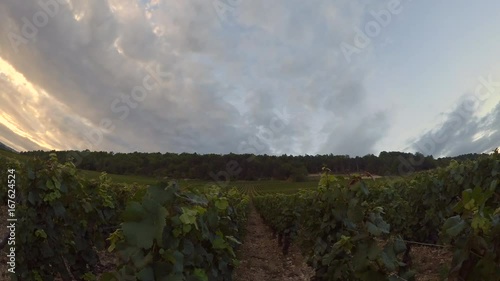 Clouds over the Wineyard in Burgundy at dusk