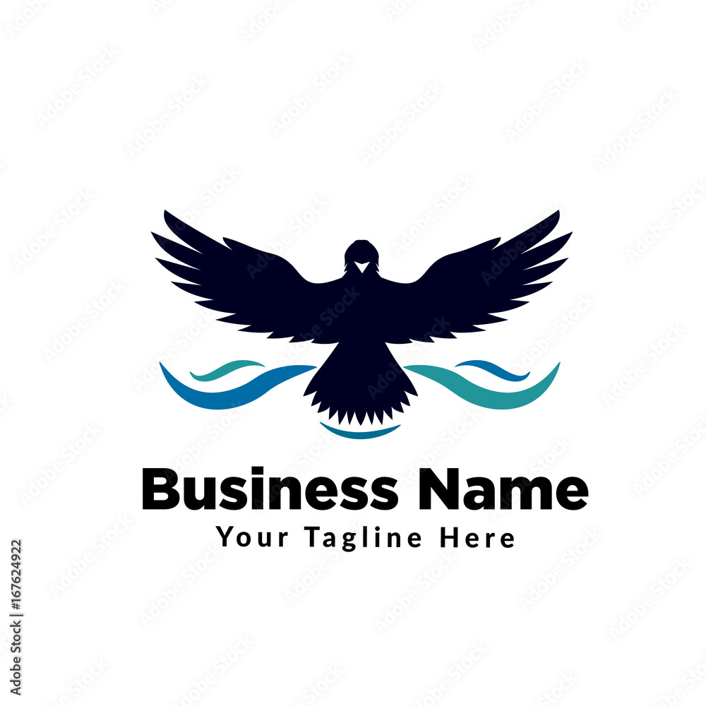 Obraz premium eagle fly