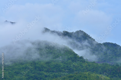 foggy on top mountain