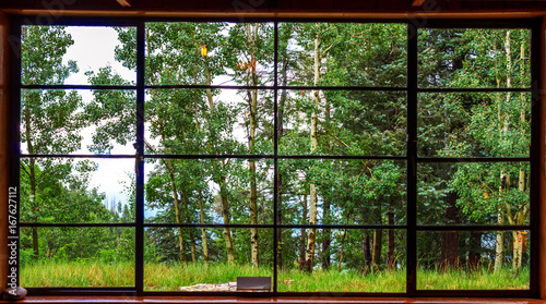 Looking out the window at the forest in Arizona © SE Viera Photo