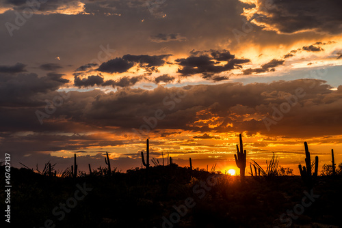 Sunset in the Desert in Arizona © SE Viera Photo