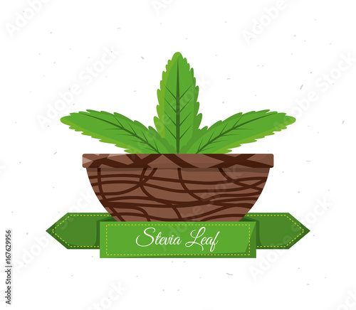 stevia natural sweetener inside bowl