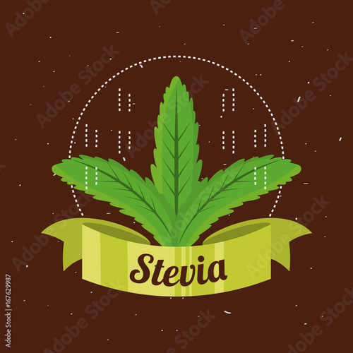 stevia natural sweetener plant and organic product
