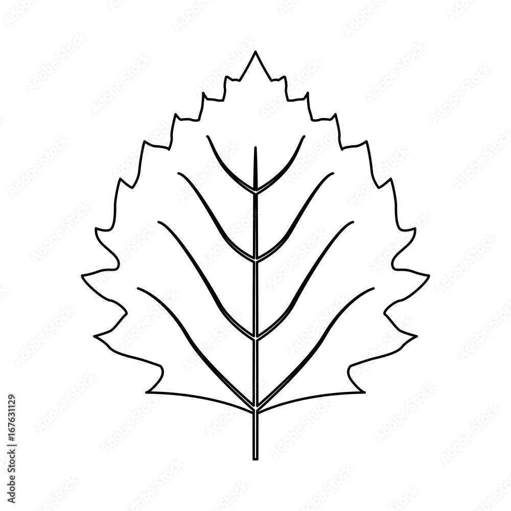 leaf nature plant simple cartoon flat style isolated on white background vector illustration leaf nature plant simple cartoon flat style isolated on white background vector illustration