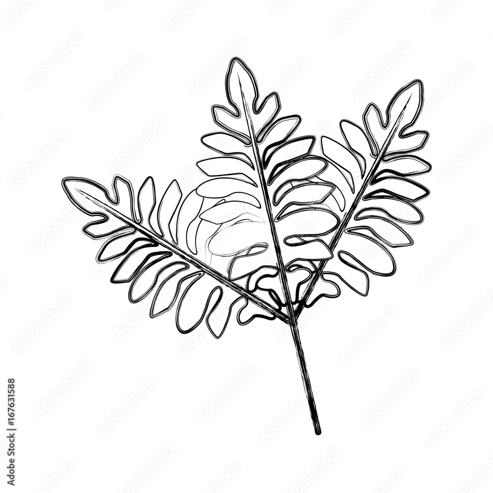 branch leaves plant tree natural botanical image vector illustration branch leaves plant tree natural botanical image vector illustration