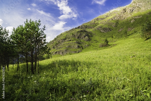 Summer mountain landscape of Altai