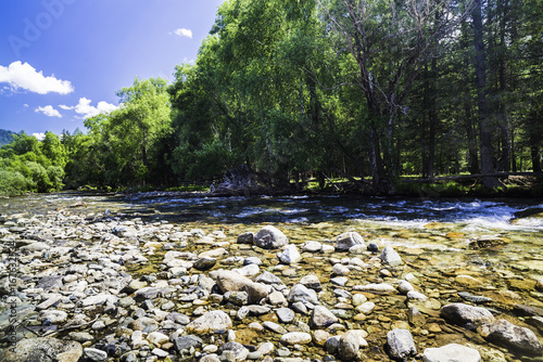 Mountain river in the Altai photo