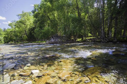 Mountain river in the Altai photo