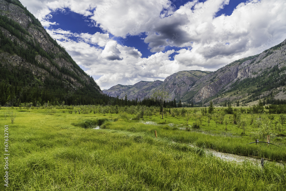 Summer mountain landscape of Altai