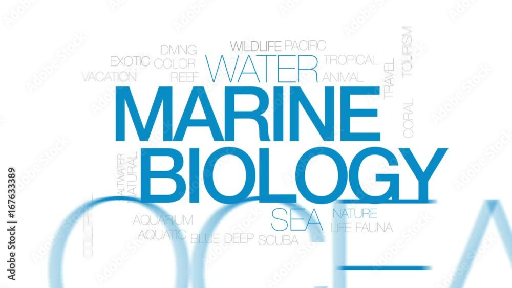 Marine biology animated word cloud, text design animation. Kinetic typography. Marine biology animated word cloud, text design animation. Kinetic typography.