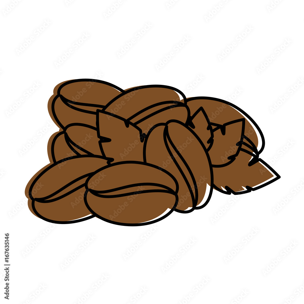 Coffee bean natural Coffee bean natural