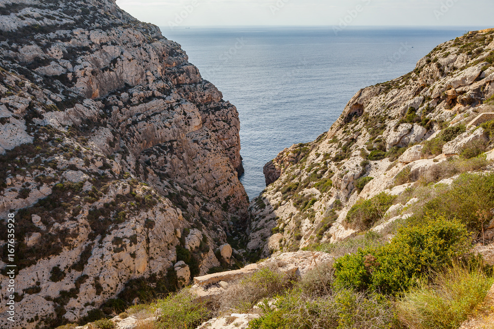 Limestone rocks covered by exotic plants - coast of Malta island. Natural haven in rocks