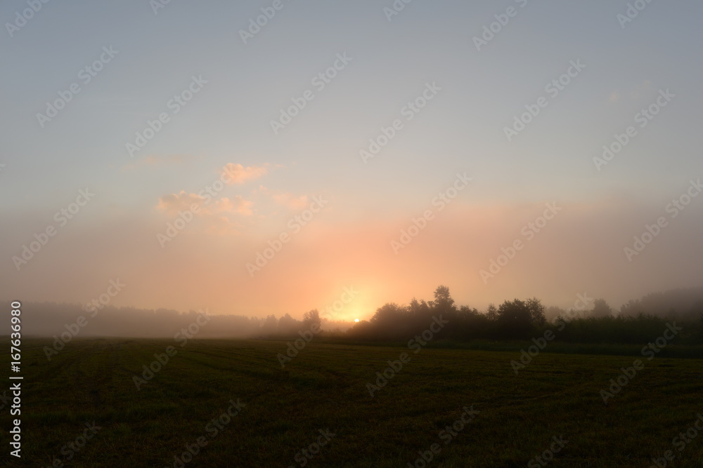 Sunrise over the foggy early morning field in the countryside