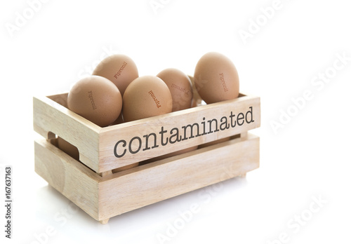 Wooden Egg Box full of Fipronil contaminated eggs on a white background