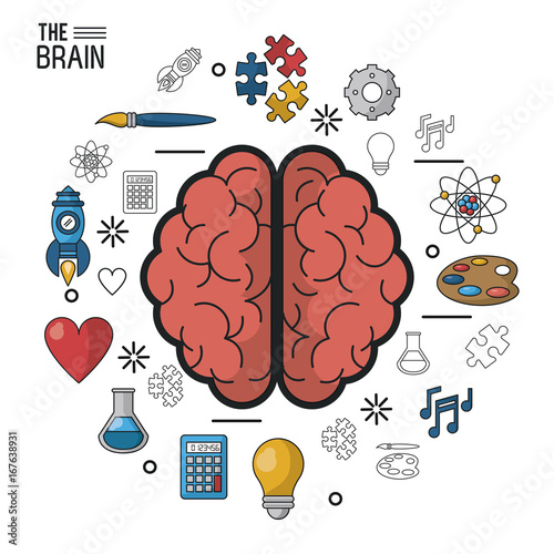 colorful poster the brain in top view of its two hemispheres and icons around vector illustration
