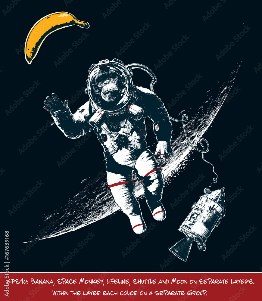 Naklejka premium Space Monkey