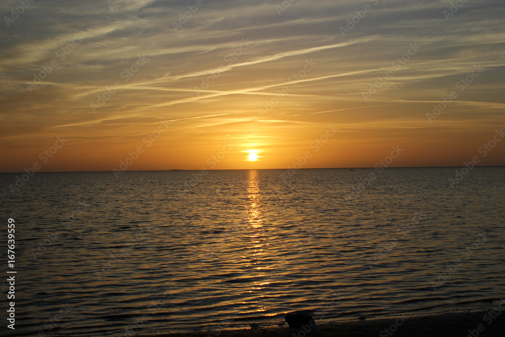 Naklejka premium The West Coast