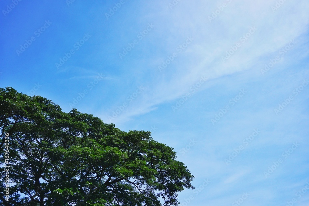 The belly has white clouds on a fine day. The belly has white clouds on a fine day.