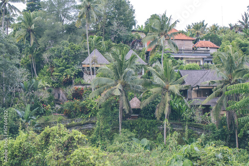 Tropical jungle landscape of paradise island of Bali, Indonesia.