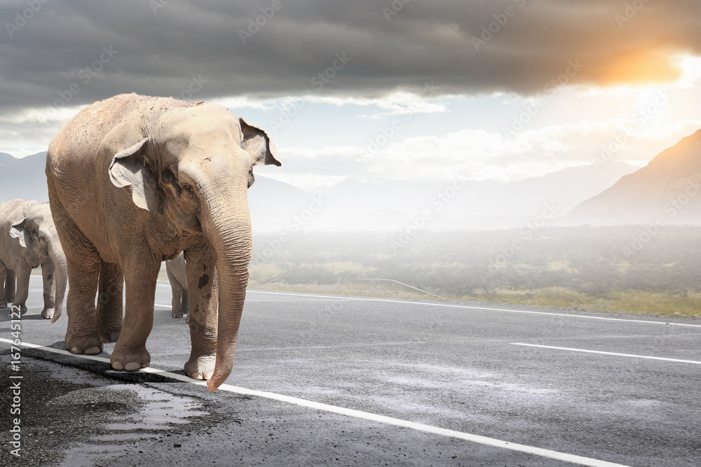 Obraz premium Heavy transportation tax. Mixed media