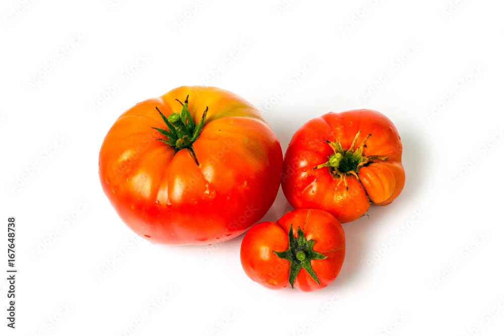 Tomatoes from the garden on a white background for isolation Tomatoes from the garden on a white background for isolation