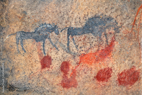 Bushmen (san) rock painting of black wildebeest, South Africa.