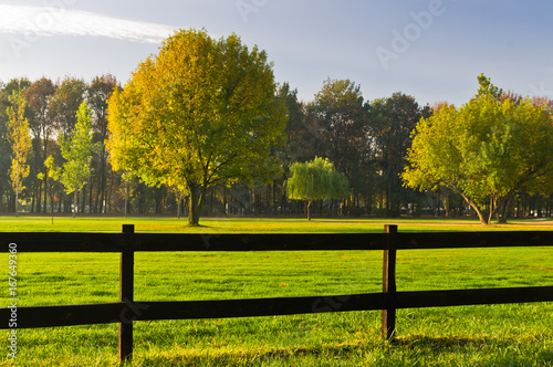 Green grass and colorful trees surrounded by a wooden fence on a golf course at sunny morning in Belgrade, Serbia