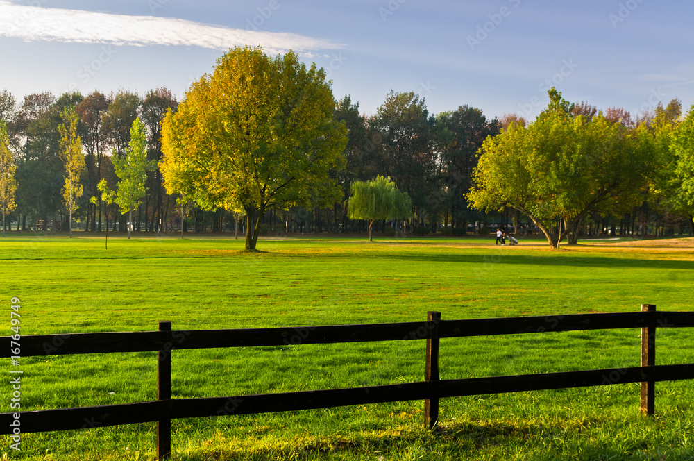 Fototapeta premium Green grass and colorful trees surrounded by a wooden fence on a golf course at sunny morning in Belgrade, Serbia