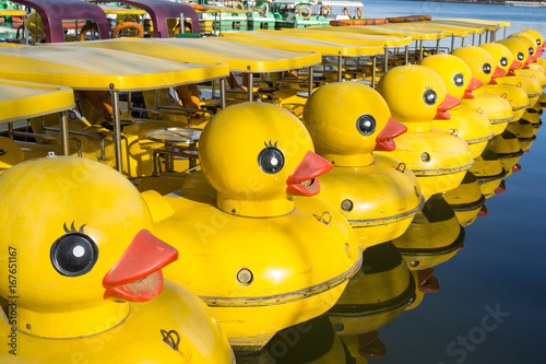 Fotografie Row Of Yellow Duck Boats In Lake