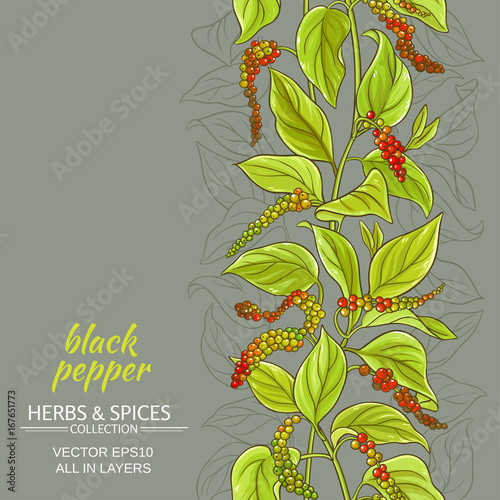 black ground pepper vector background